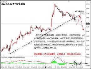9911.走势图,趋势洞察与投资策略
