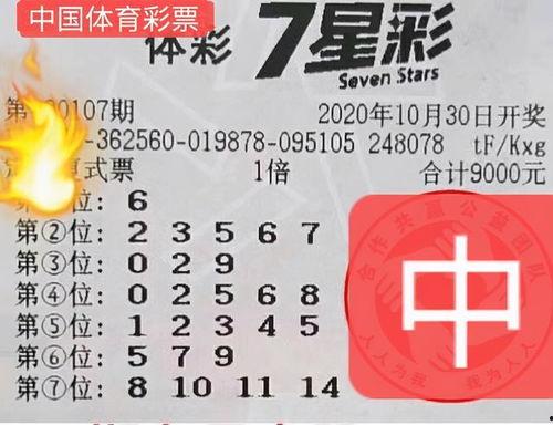 幸运鑫3d2017251期,揭秘中奖号码背后的幸运密码