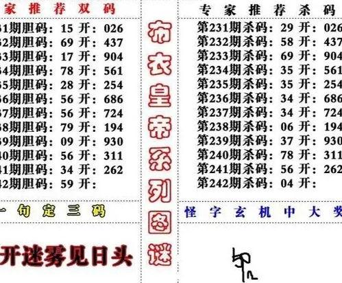 福3d字谜,三生有幸——福3D字谜探秘