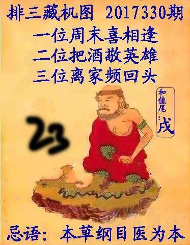 三毛追奖图十3d藏机图,揭秘奇幻冒险之旅